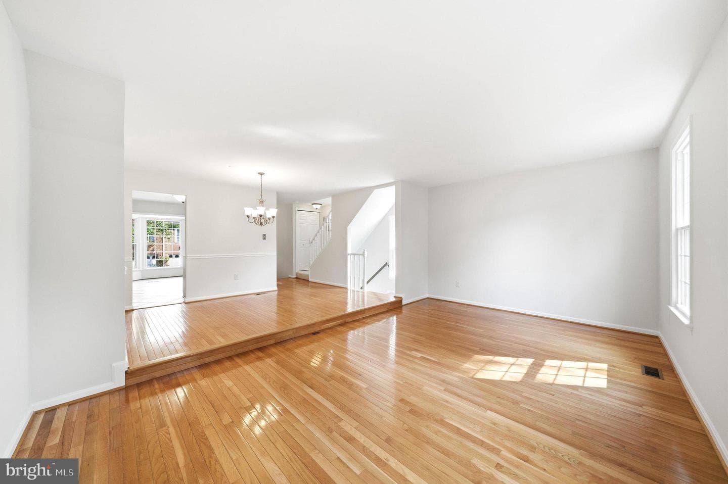 16 Ritchfield Court photo 20
