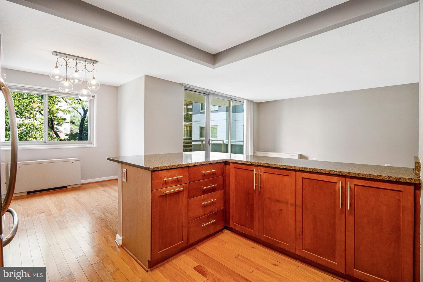7333 New Hampshire Avenue #420w photo 4