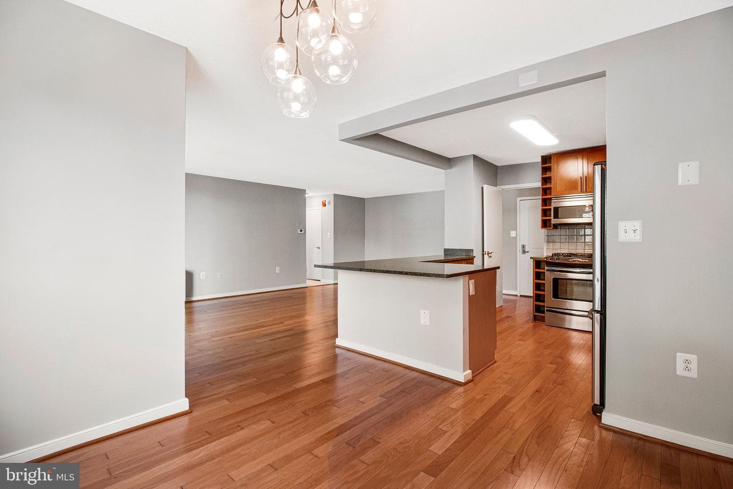 7333 New Hampshire Avenue #420w photo 5