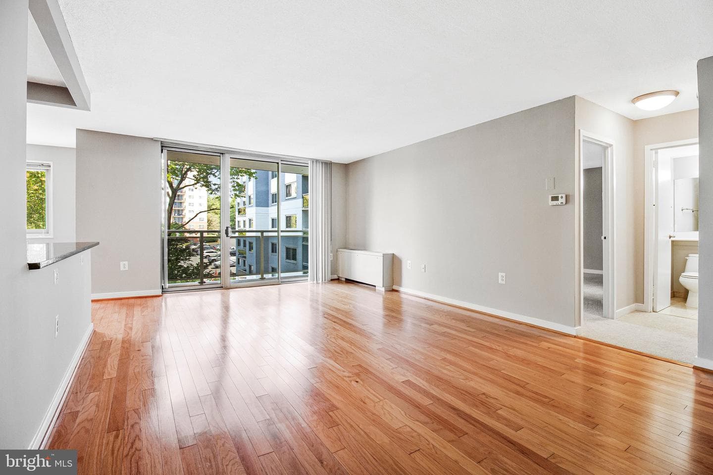 7333 New Hampshire Avenue #420w photo 8