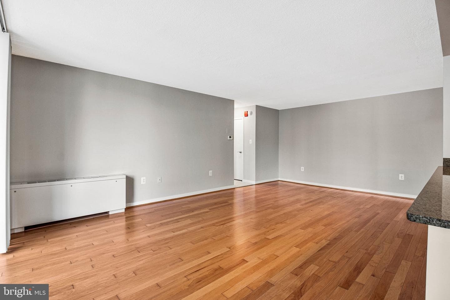 7333 New Hampshire Avenue #420w photo 9