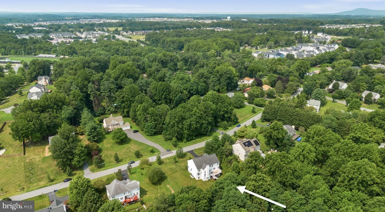 22811 Timber Creek Lane photo 38