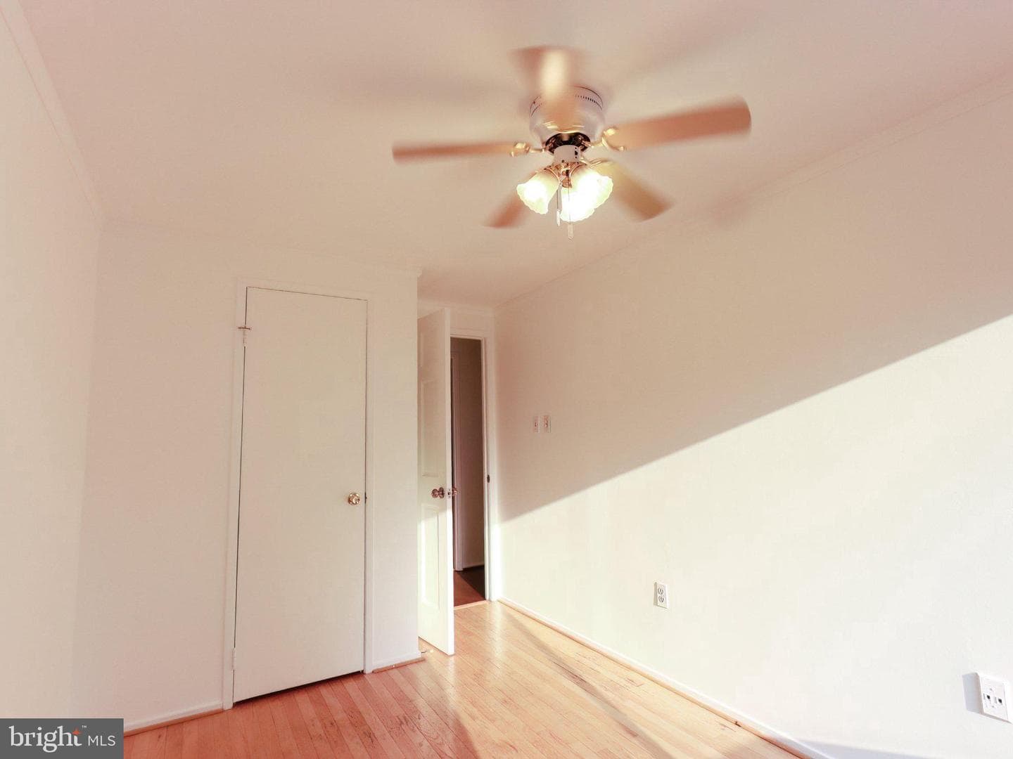 10704 Lester Street photo 19