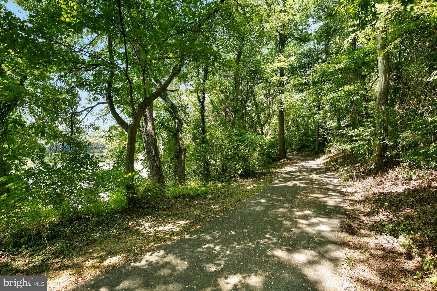 110 Summer Walk Drive photo 80