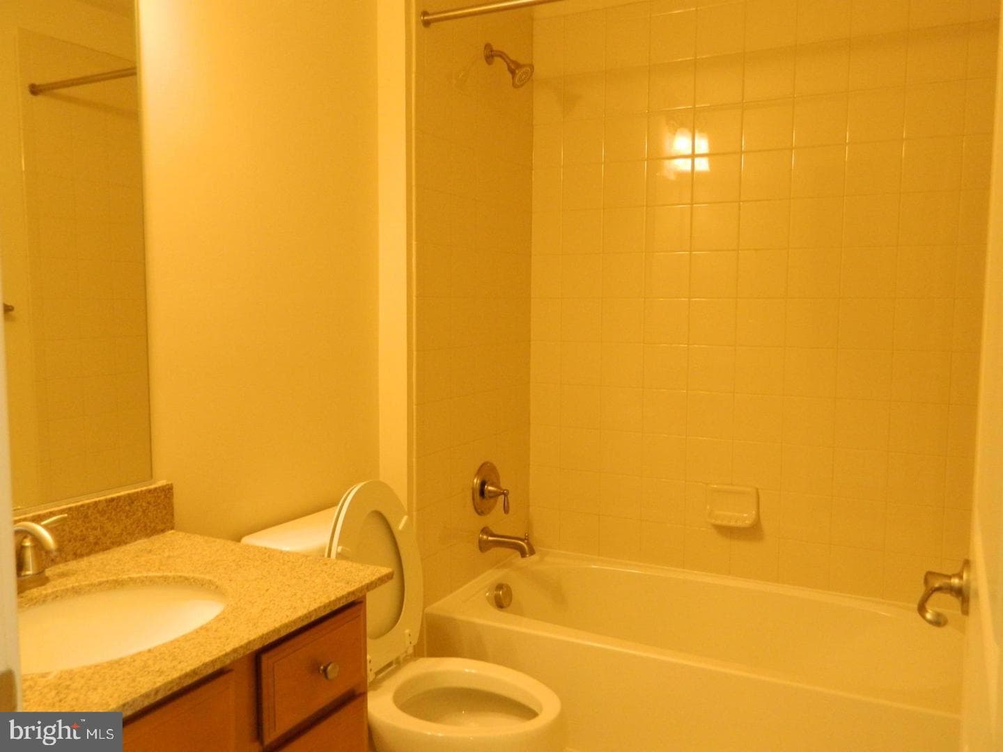 10123 Wootton Crest Way photo 14