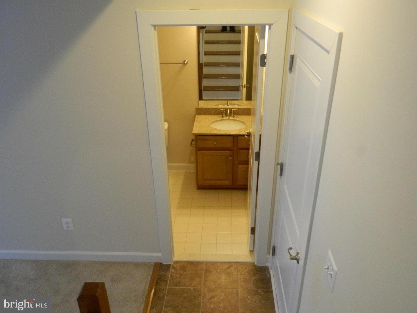 10123 Wootton Crest Way photo 20
