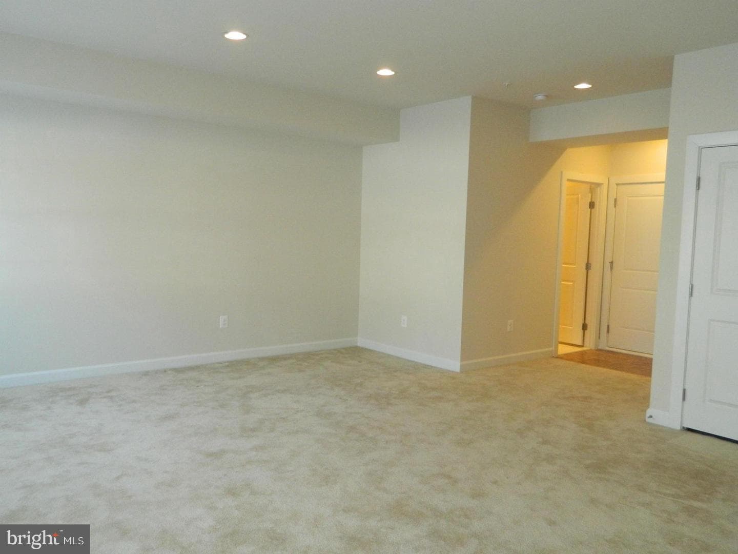 10123 Wootton Crest Way photo 21