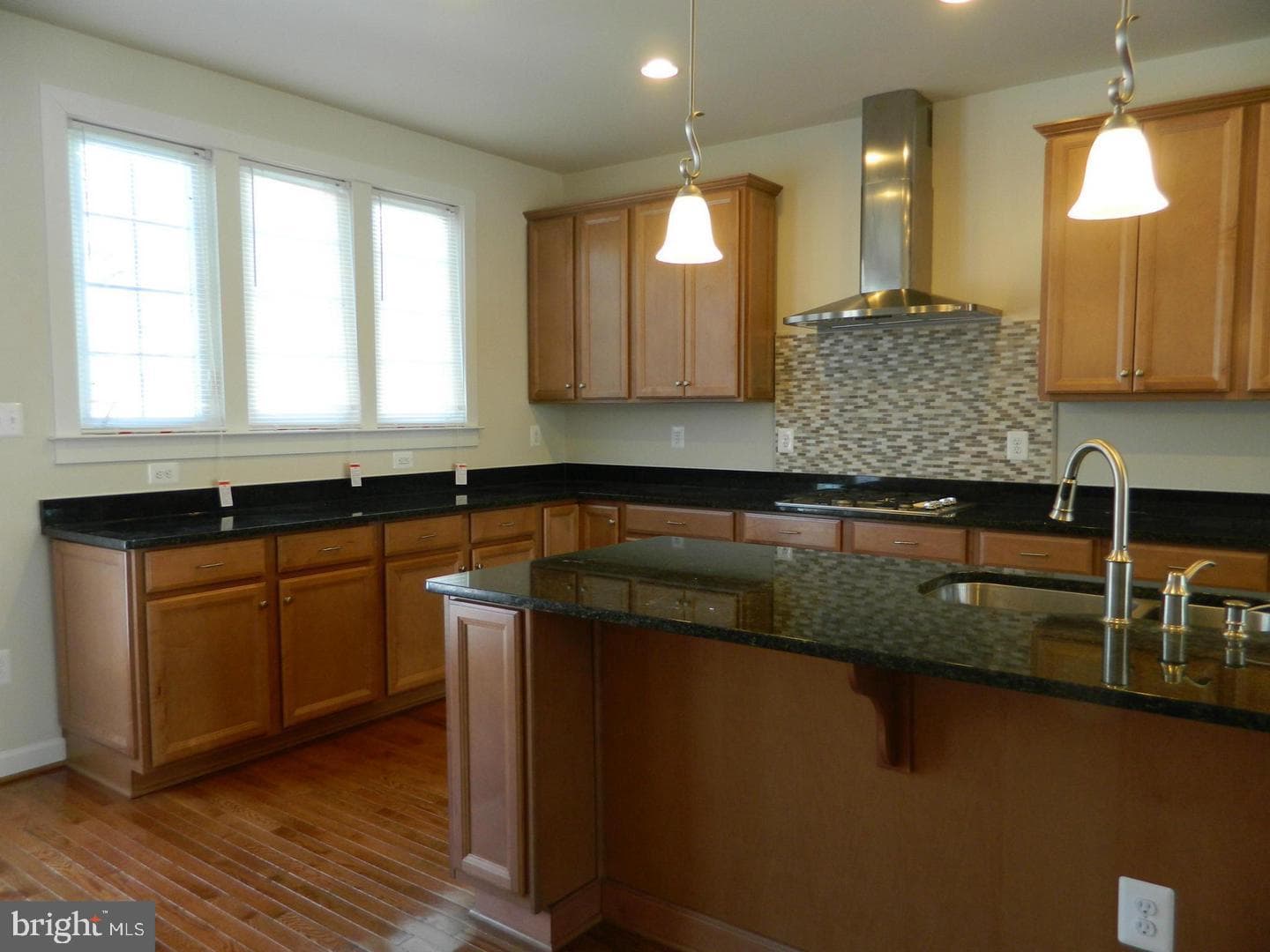 10123 Wootton Crest Way photo 6