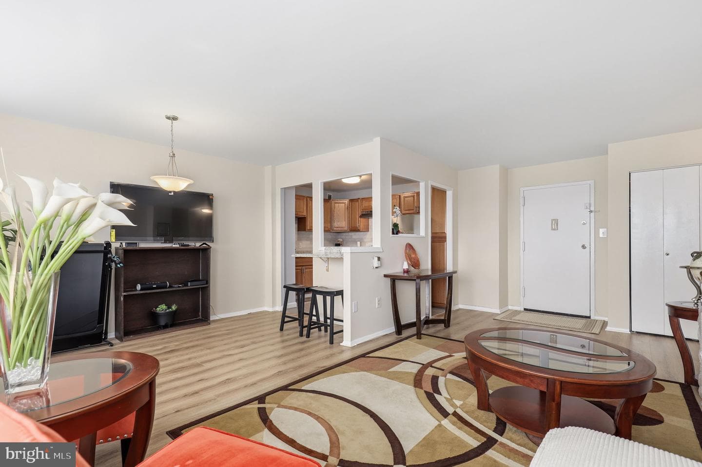 1111 University Boulevard W #1114-A, Silver Spring