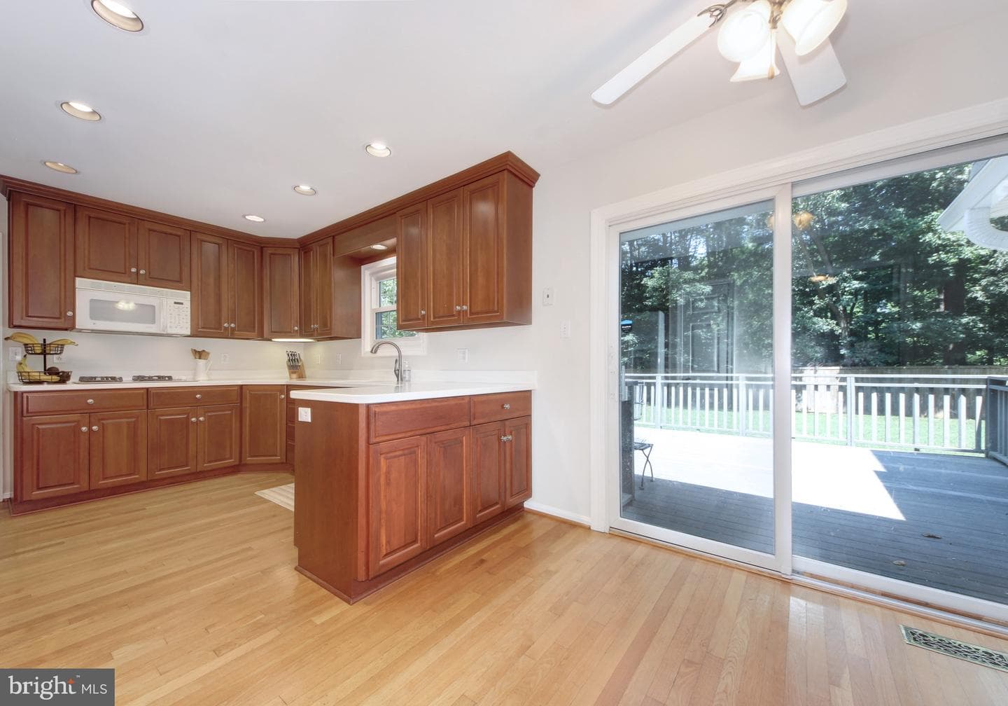 1038 Carnation Drive photo 9