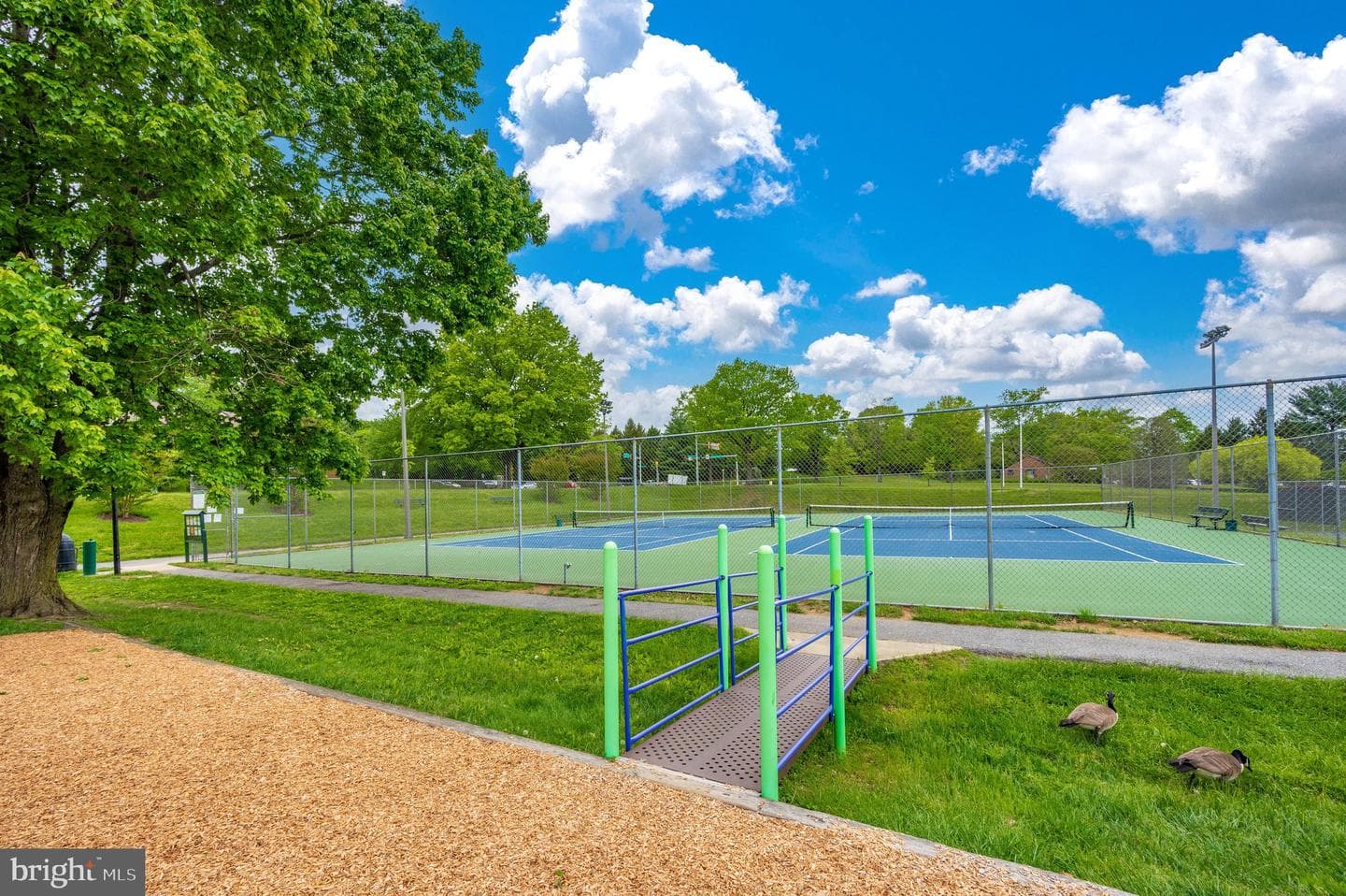 2 Grazing Court photo 37