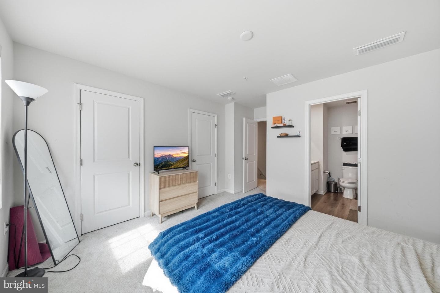 19712 Preservation Mews photo 29