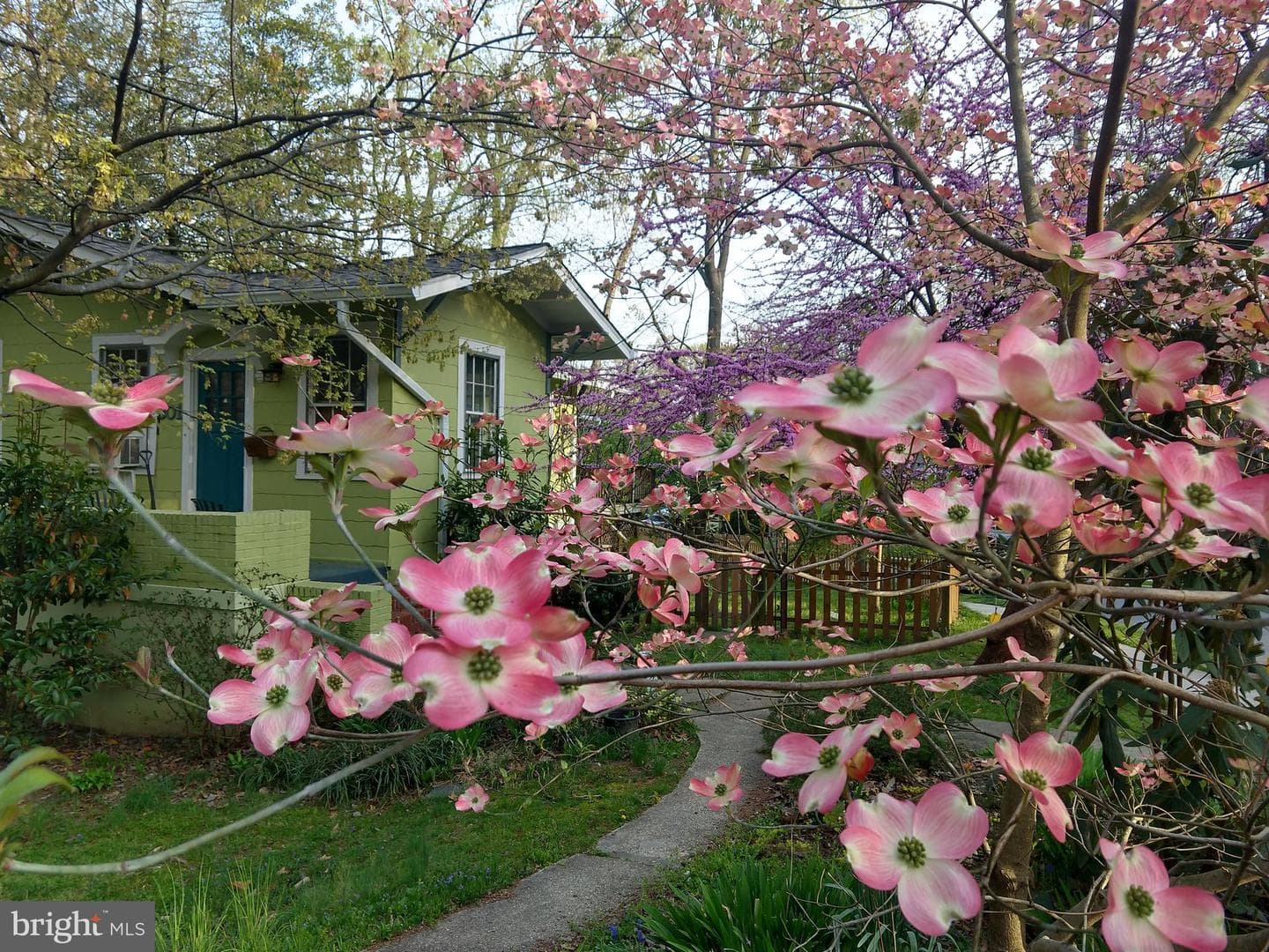 301 Elm Avenue, Takoma Park