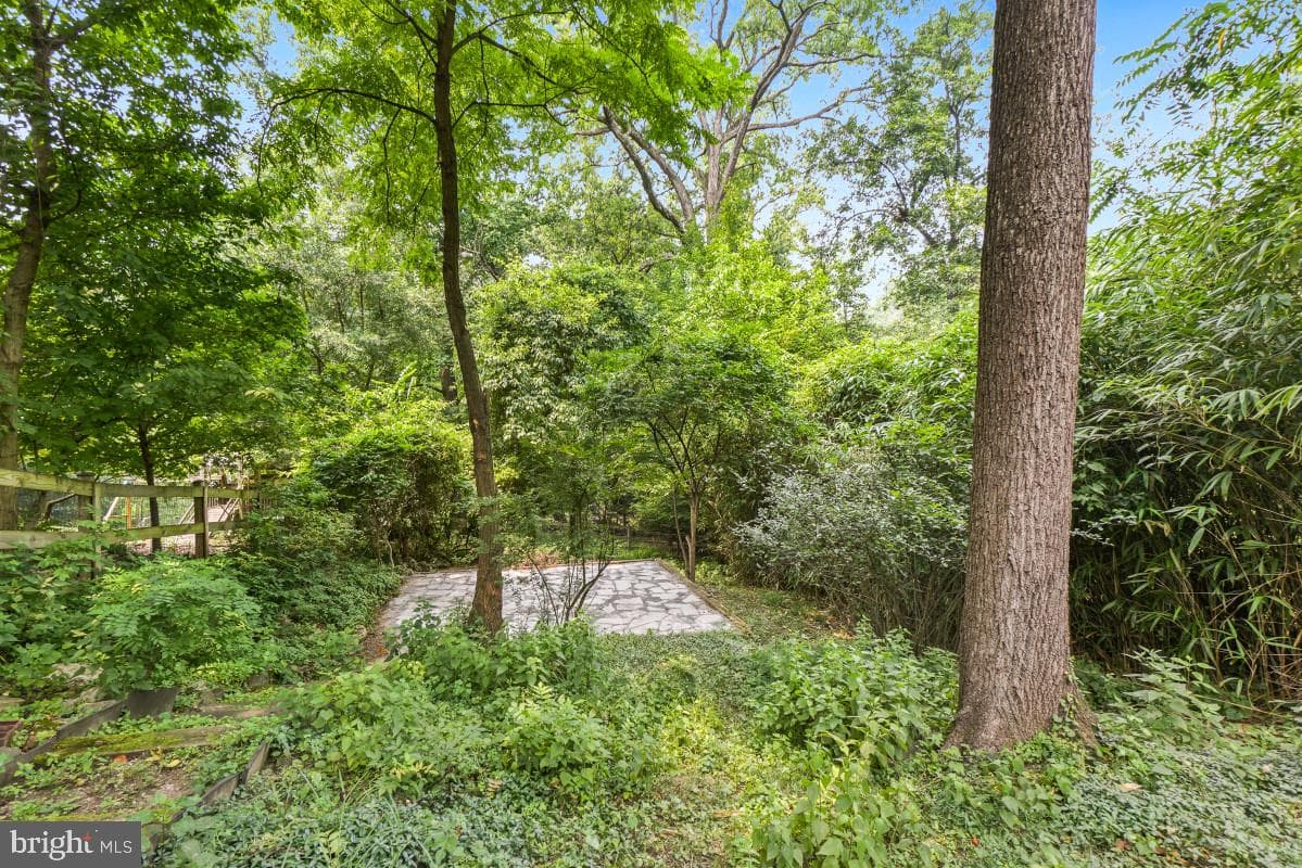 7214 Cedar Avenue photo 34