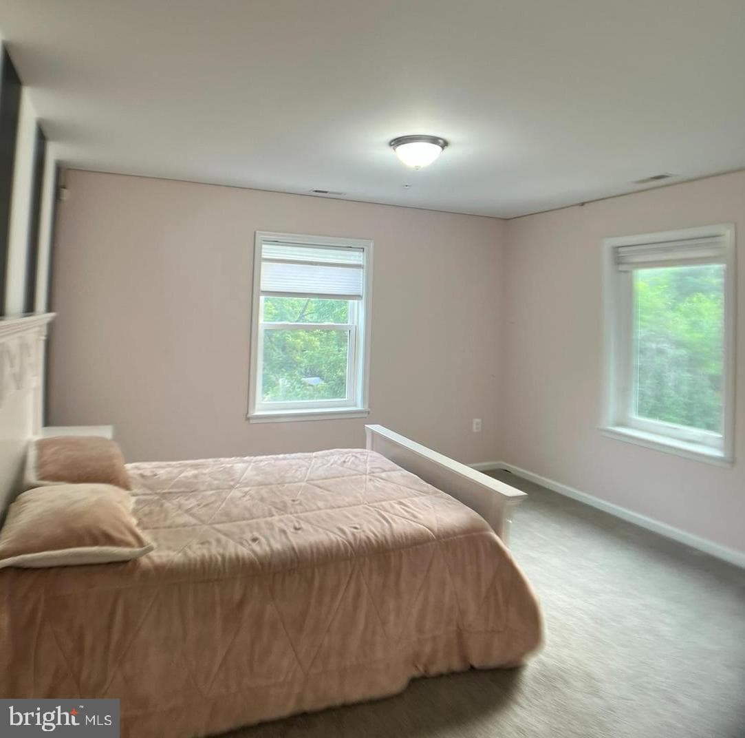 18620 Jerusalem Church Road photo 46