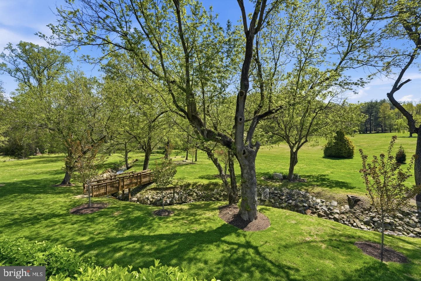 10517 Alloway Drive photo 66
