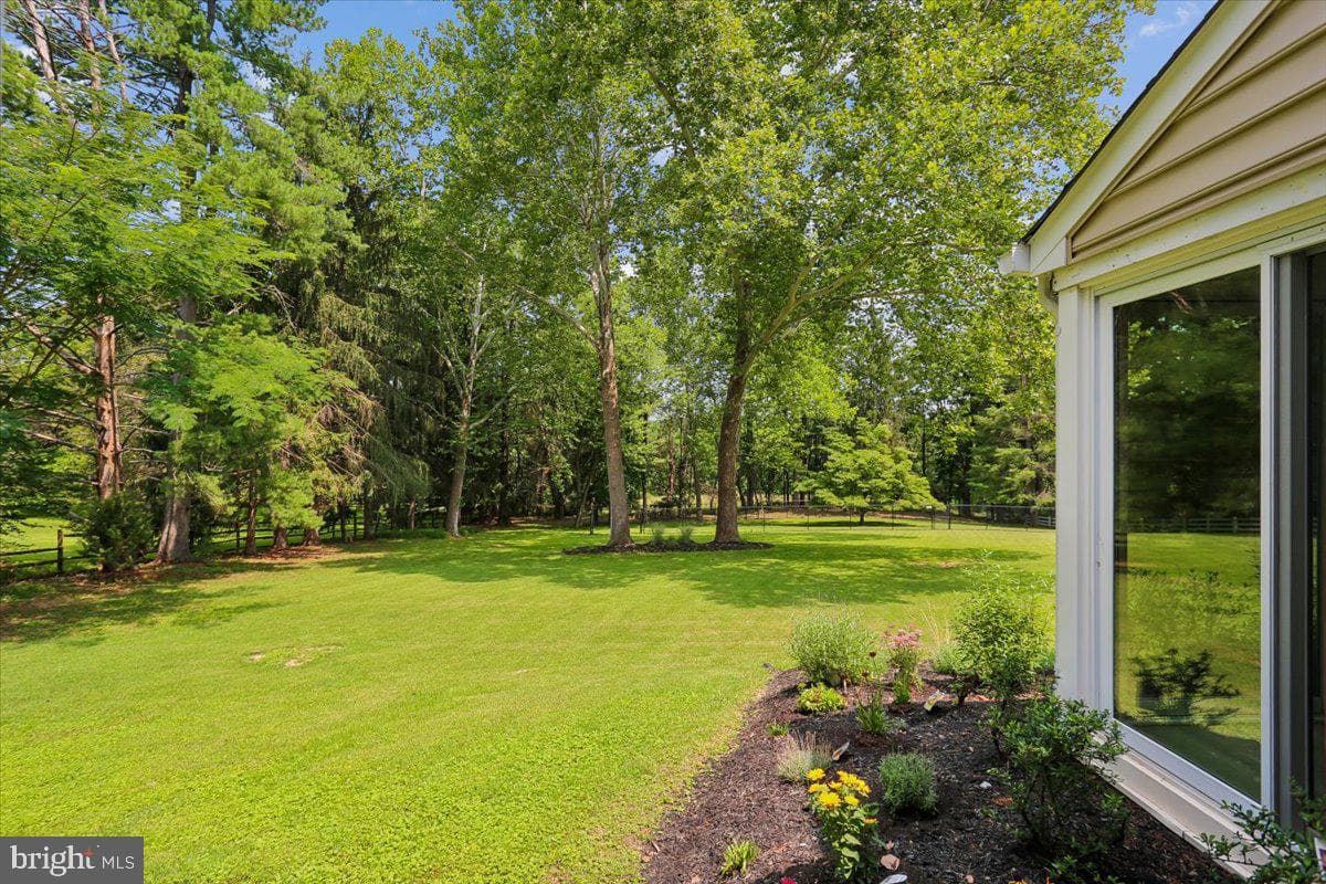 14811 Springfield Road photo 45