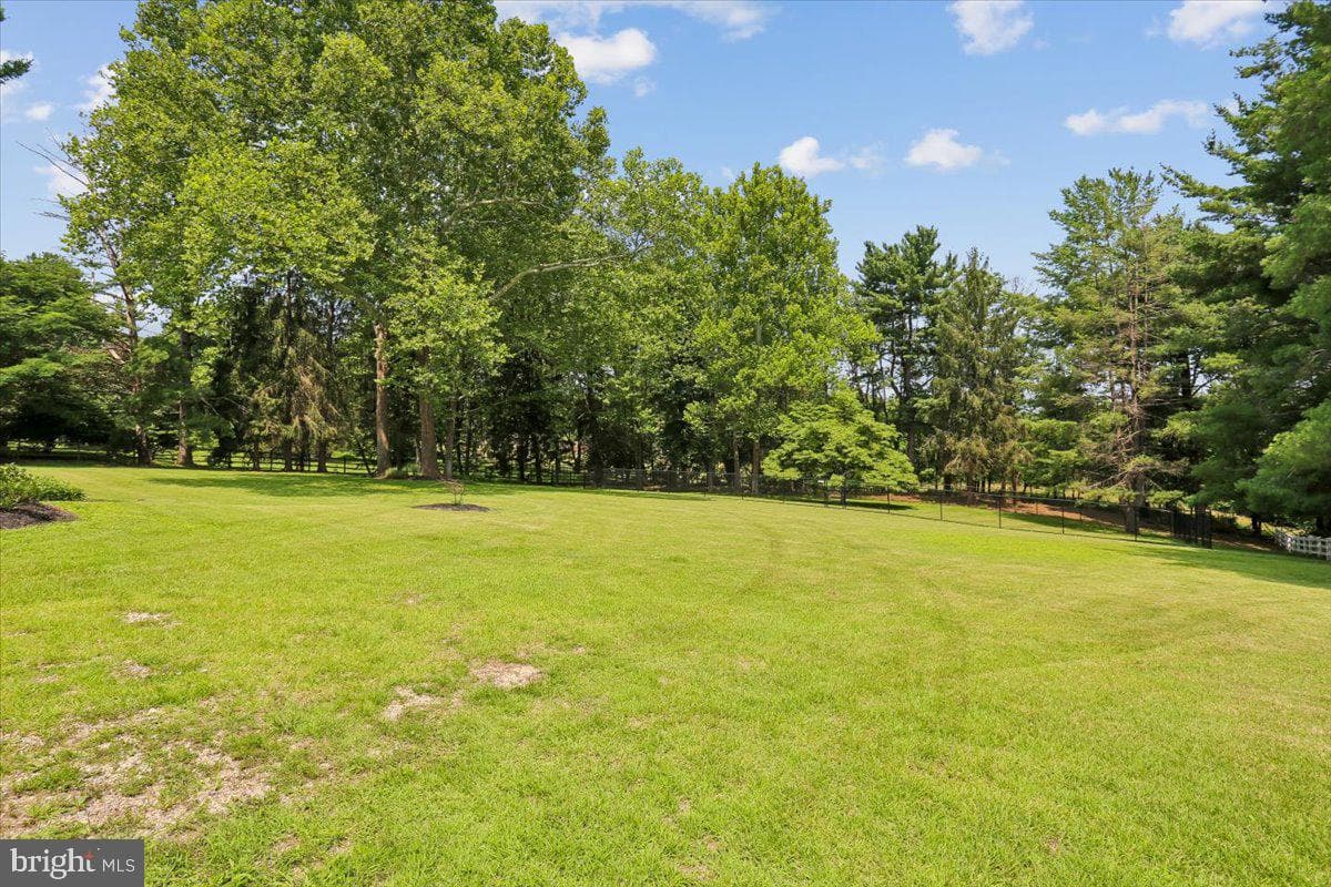 14811 Springfield Road photo 81