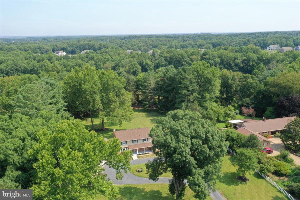 14811 Springfield Road photo 96