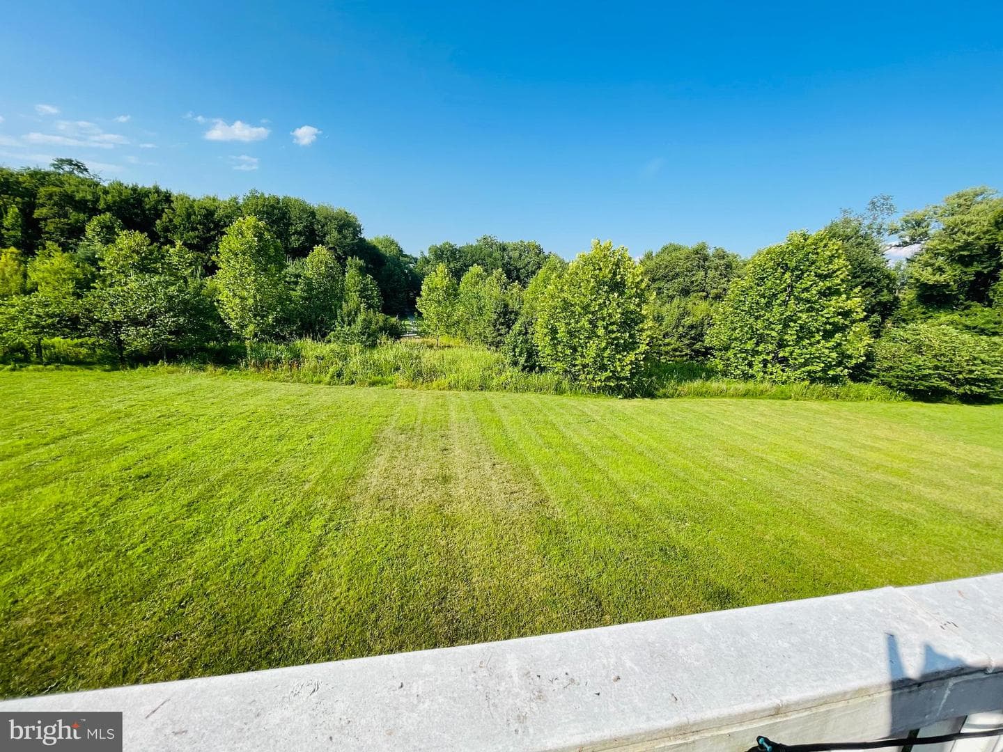 1024 Briggs Chaney Road photo 4