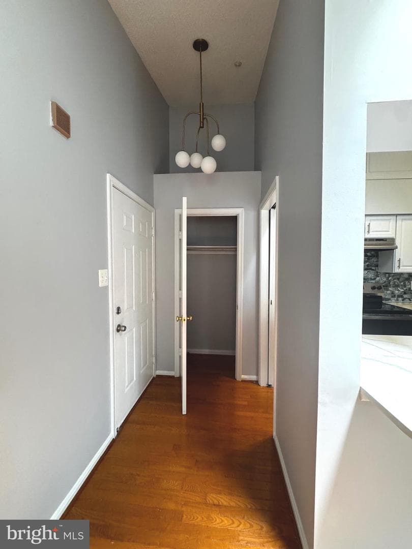 2600 Camelback Lane #11 photo 16
