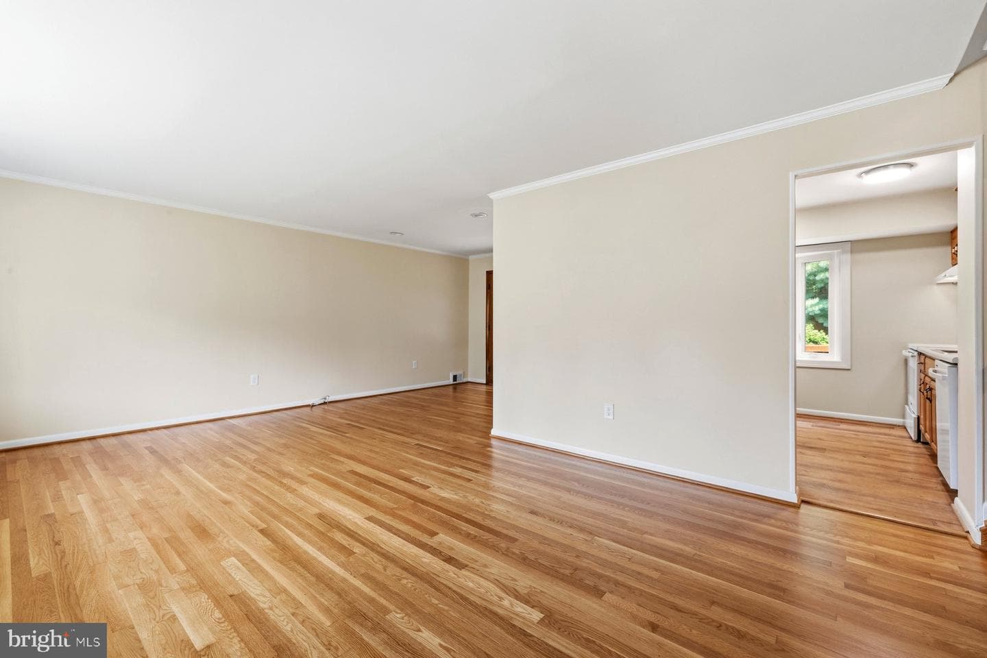 4501 Dabney Drive photo 9