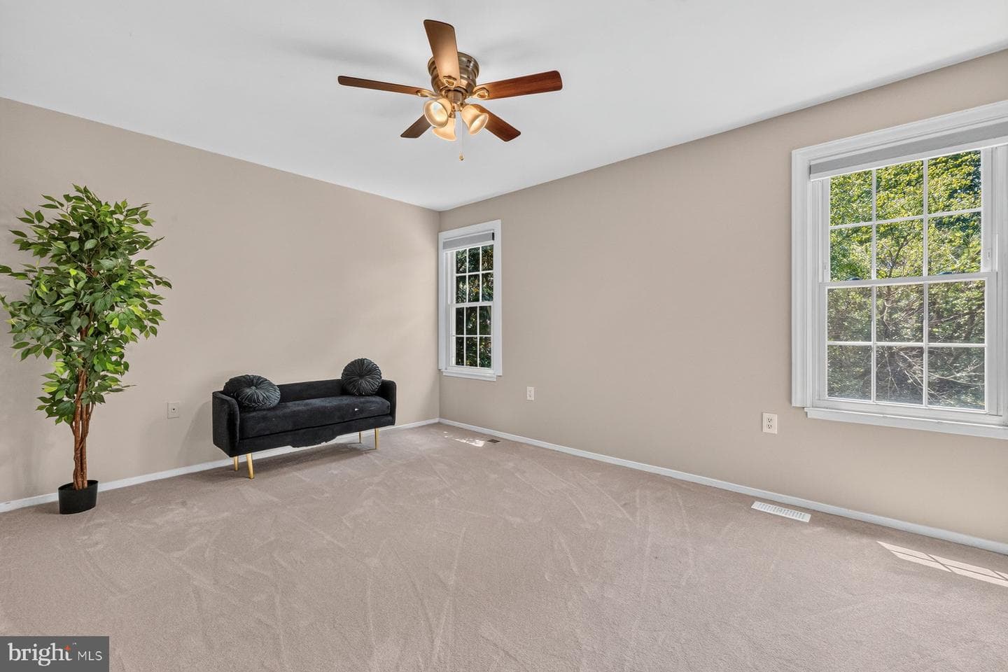 20501 Neerwinder Street photo 18