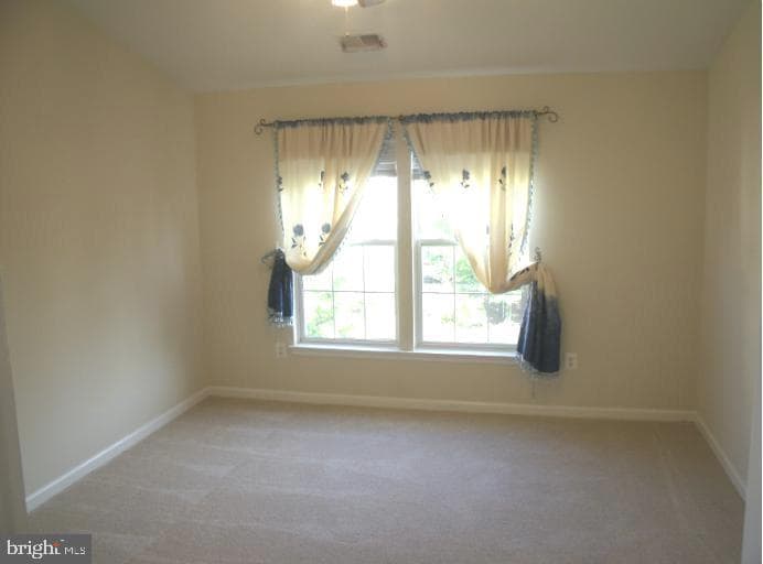 13647 Palmetto Circle #4 photo 14