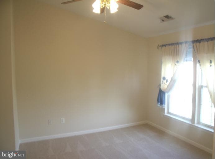 13647 Palmetto Circle #4 photo 15
