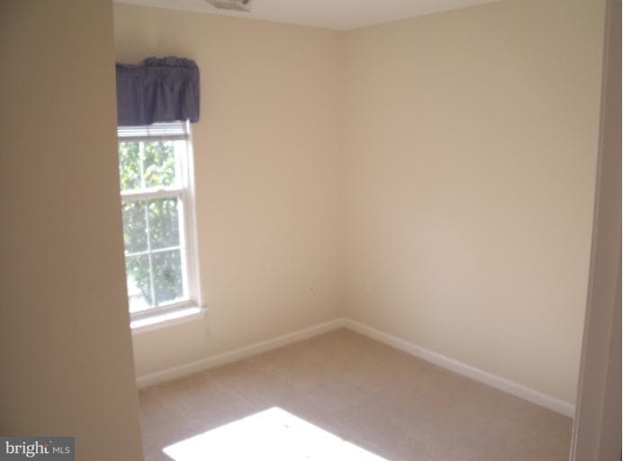 13647 Palmetto Circle #4 photo 21