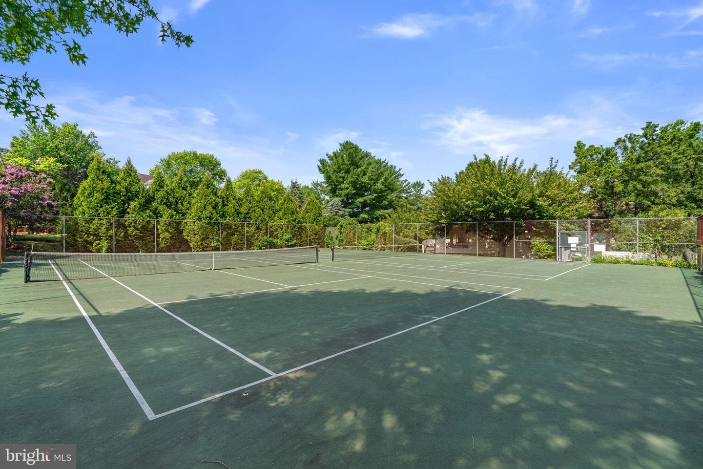 18415 Bishopstone Court #42 photo 18