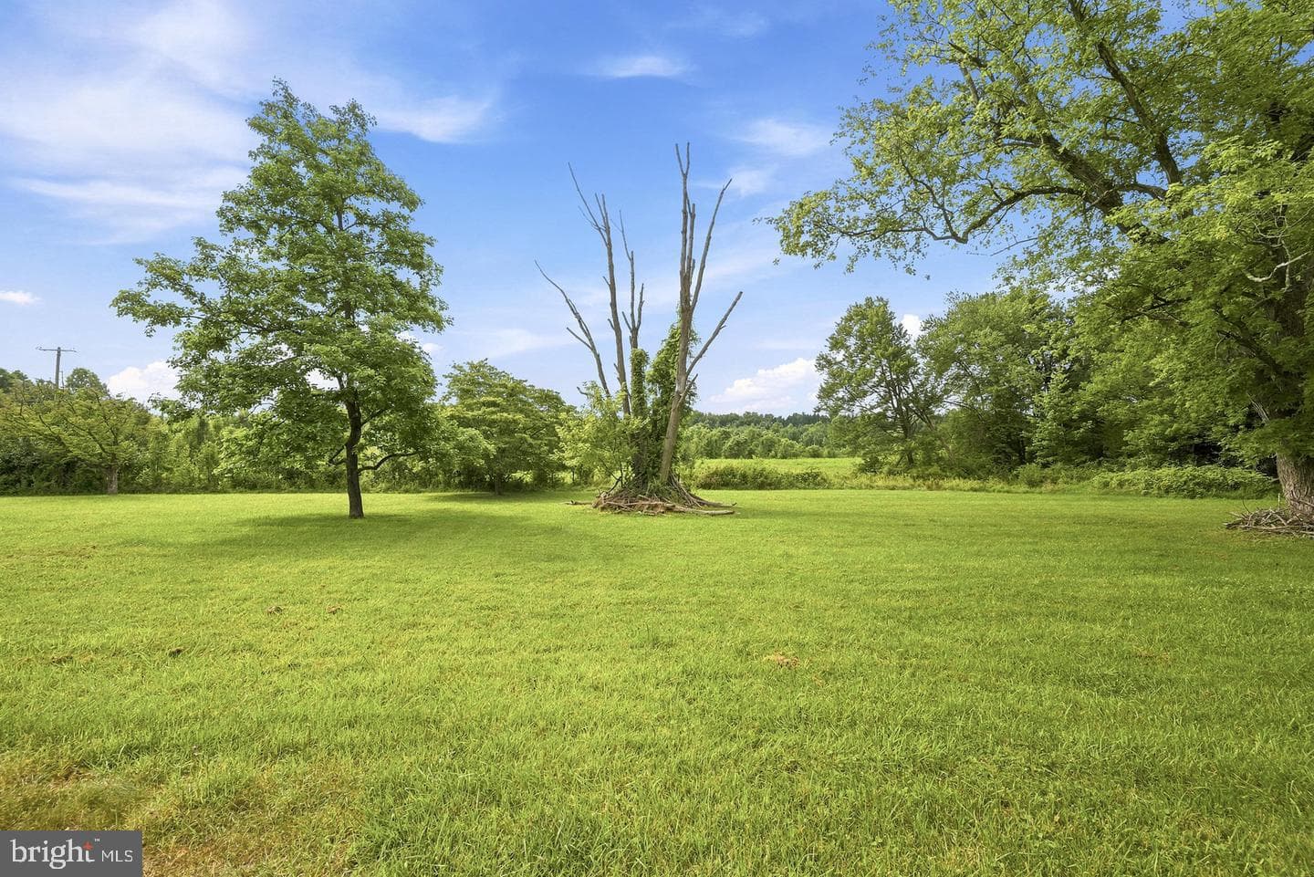 5904 Muncaster Mill Road photo 19