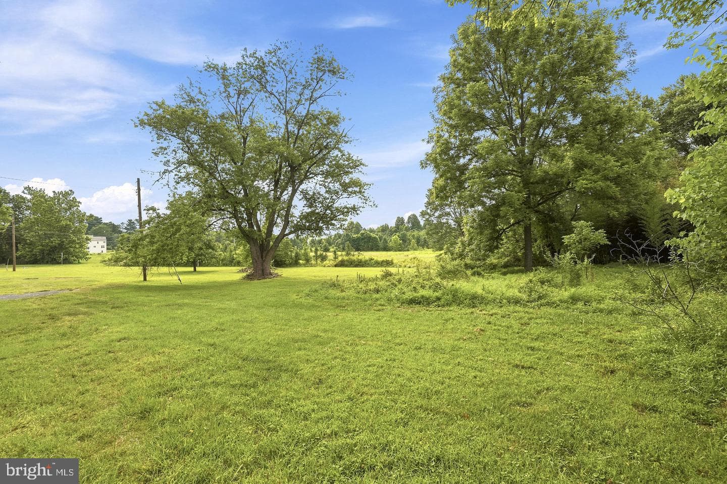 5904 Muncaster Mill Road photo 22