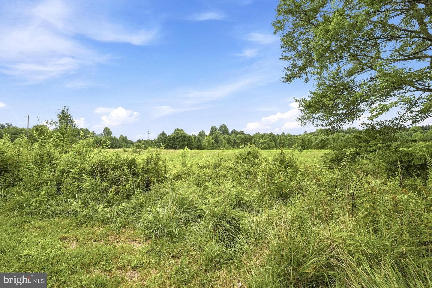 5904 Muncaster Mill Road photo 26
