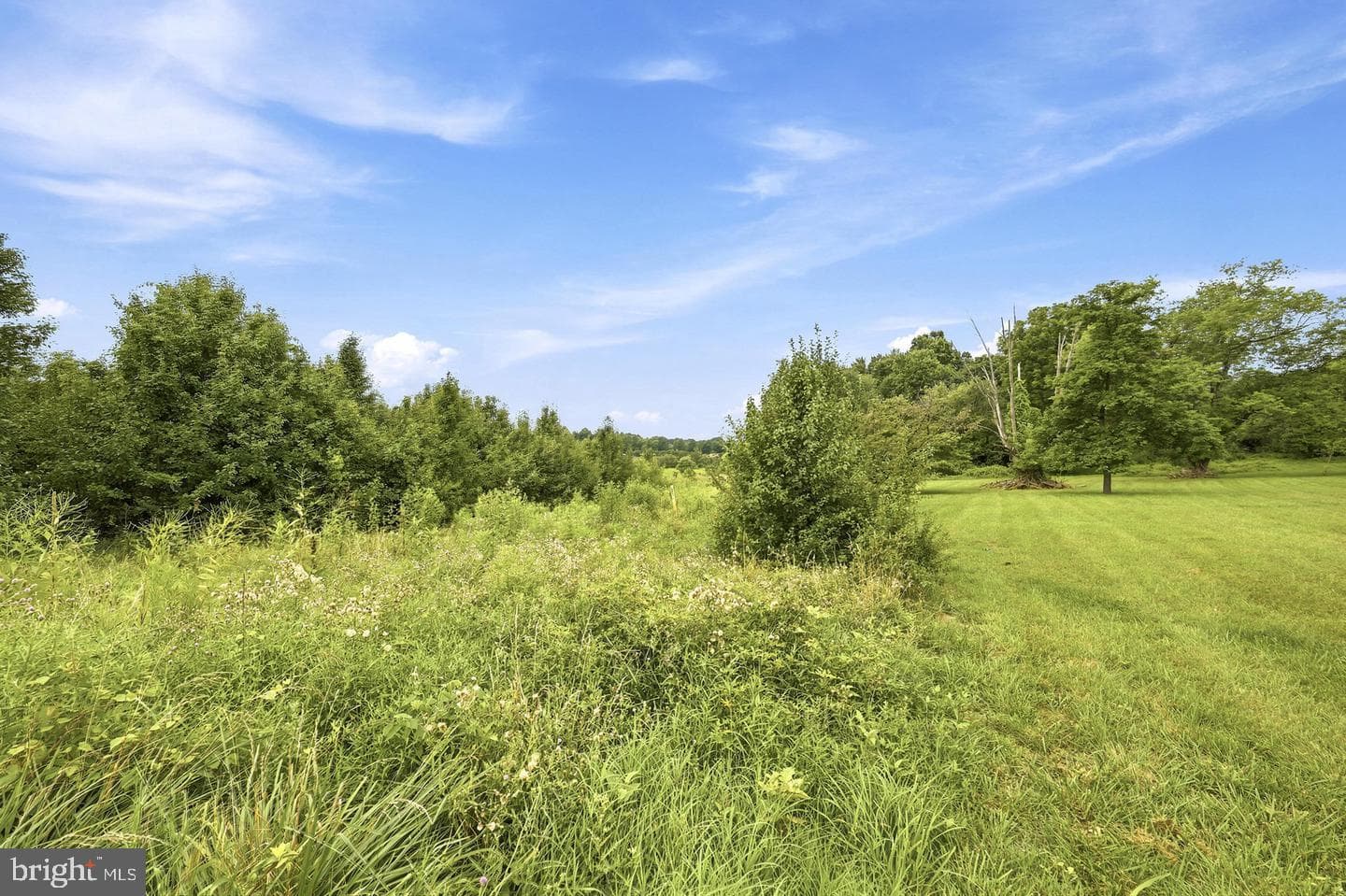 5904 Muncaster Mill Road photo 28