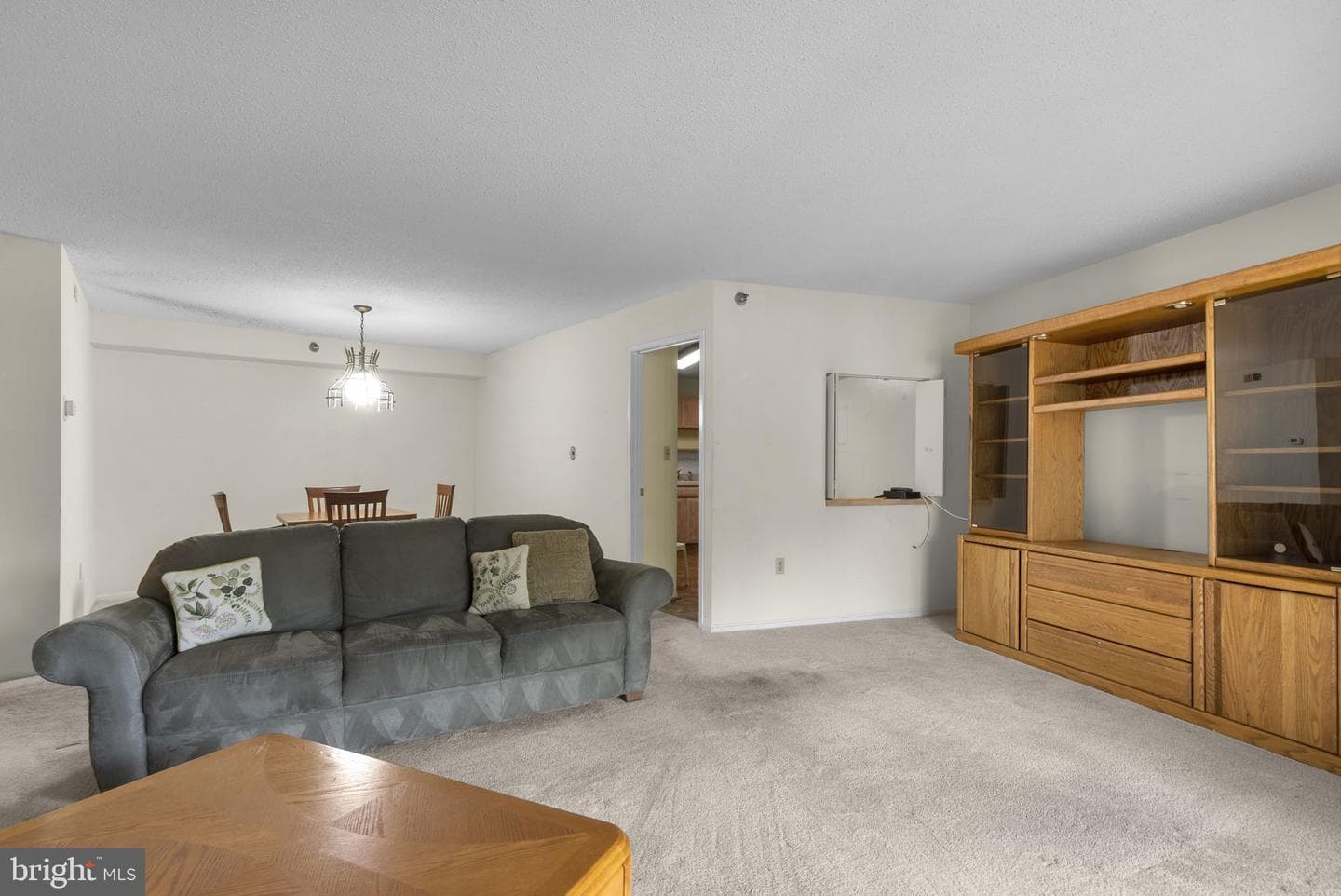 15100 Interlachen Drive #4-117 photo 8