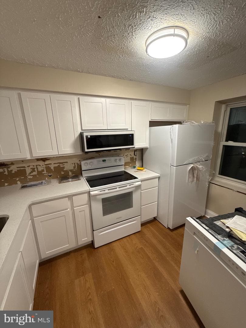 11706 Zebrawood Court photo 3