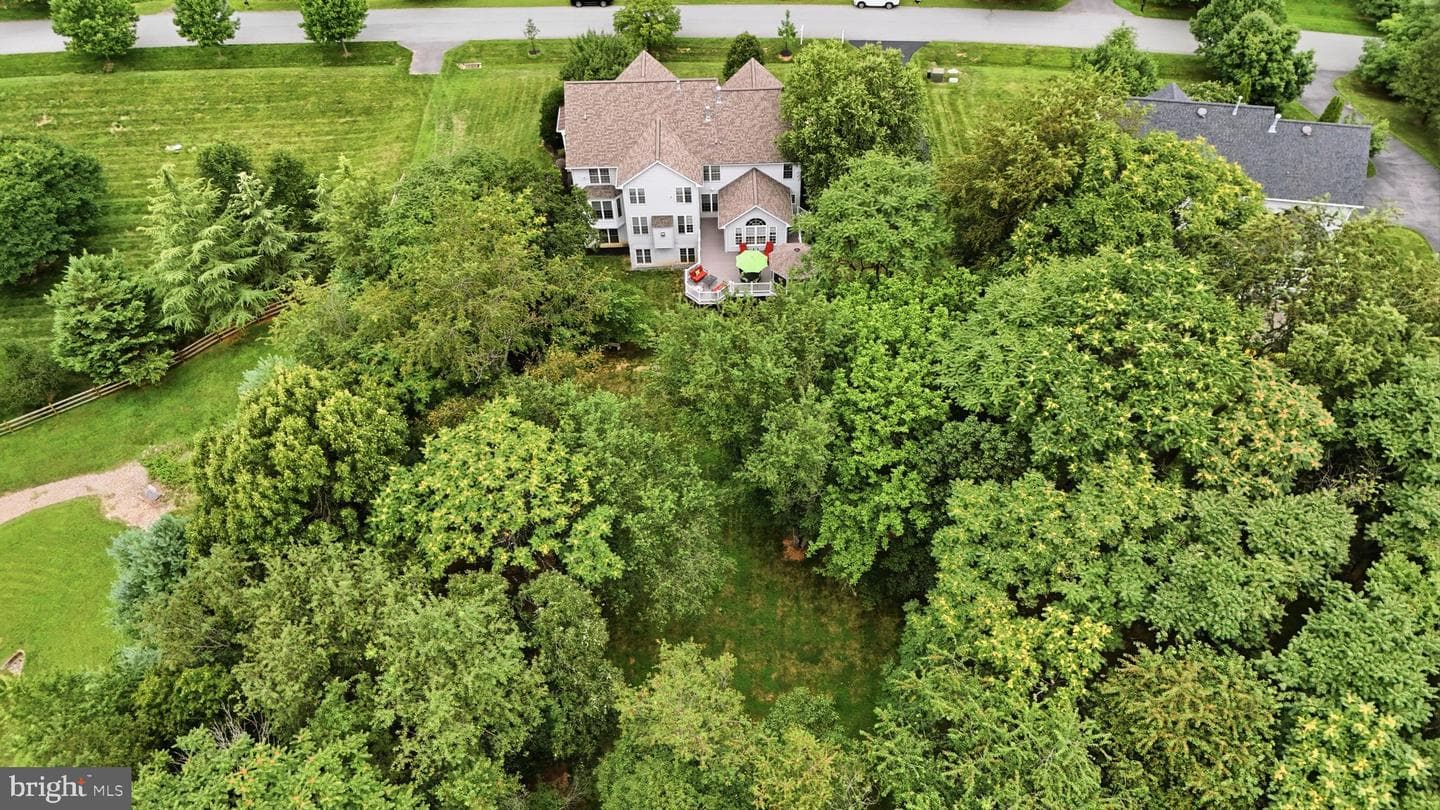9304 Heather Field Court photo 55