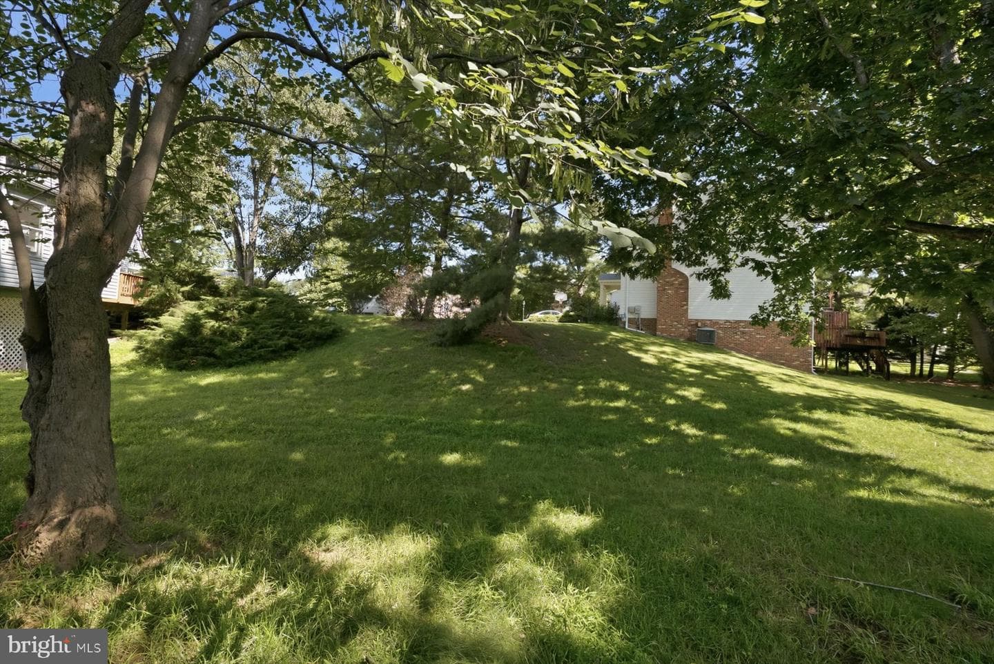 11337 Freas Drive photo 60