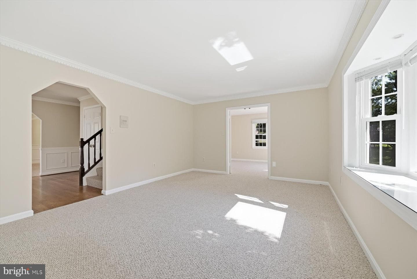 11337 Freas Drive photo 8