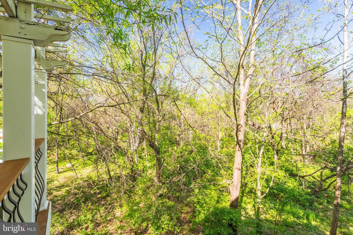 400 Long Trail Terrace photo 58