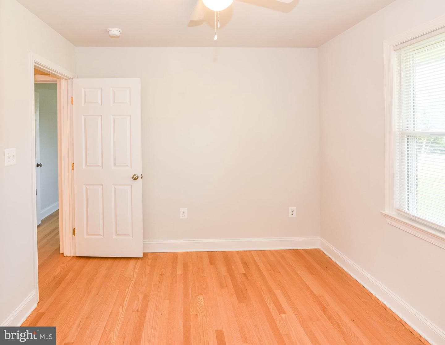 1804 Briggs Chaney Road photo 15