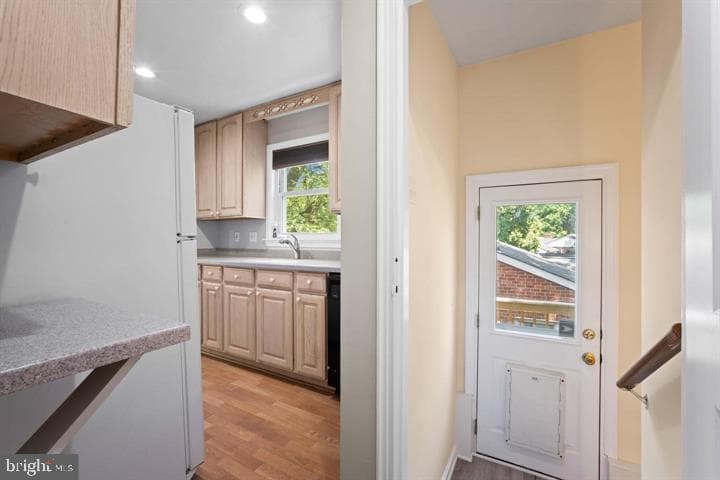 121 Whitmoor Terrace photo 15