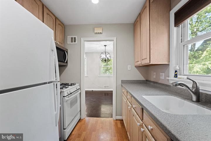121 Whitmoor Terrace photo 18