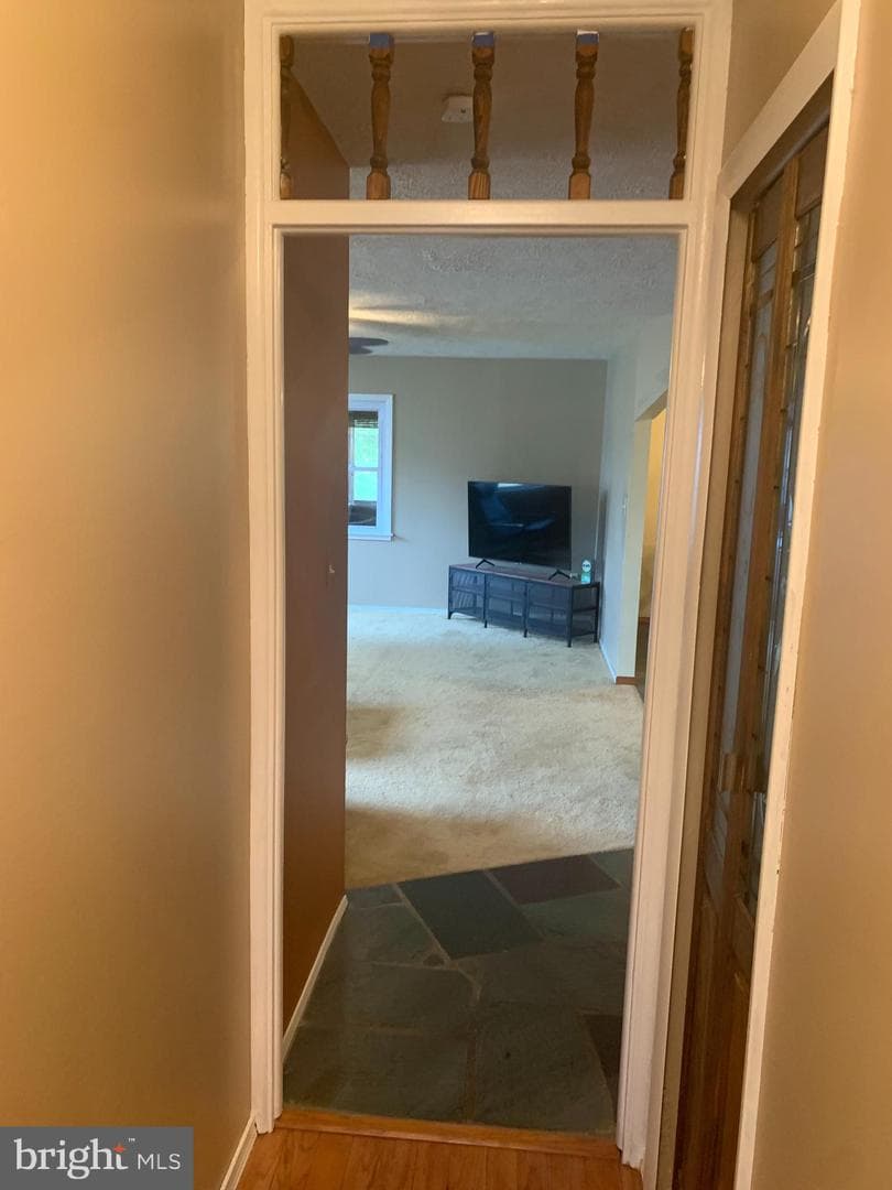 2711 Kirk Lane photo 103