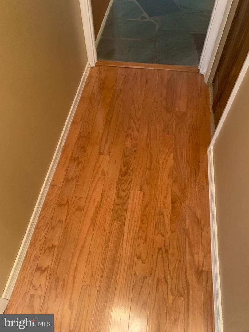 2711 Kirk Lane photo 105