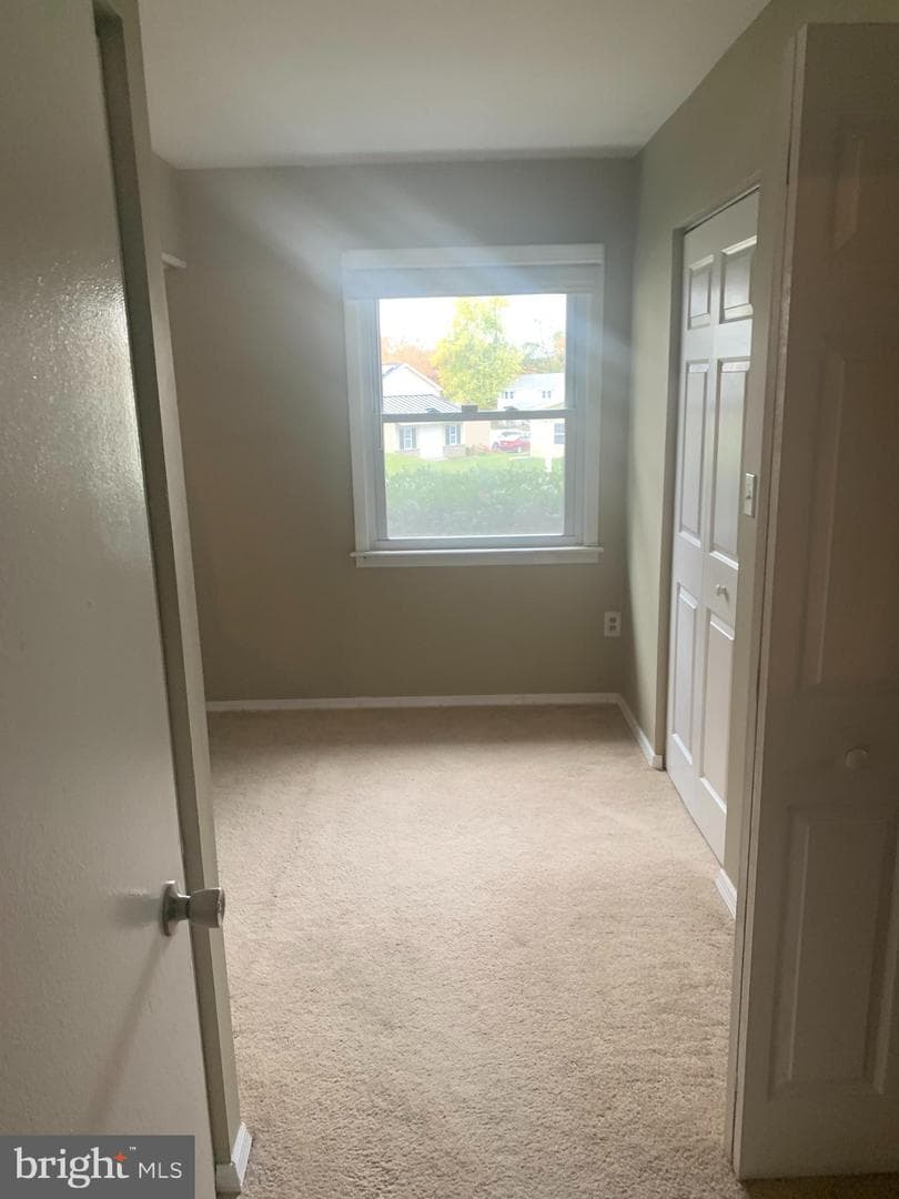 2711 Kirk Lane photo 108