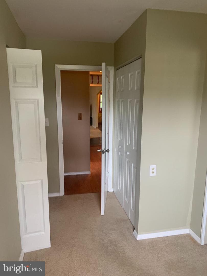 2711 Kirk Lane photo 110
