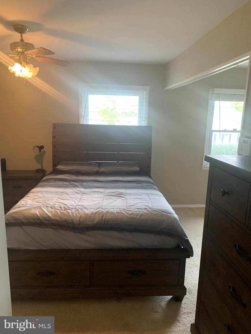2711 Kirk Lane photo 112