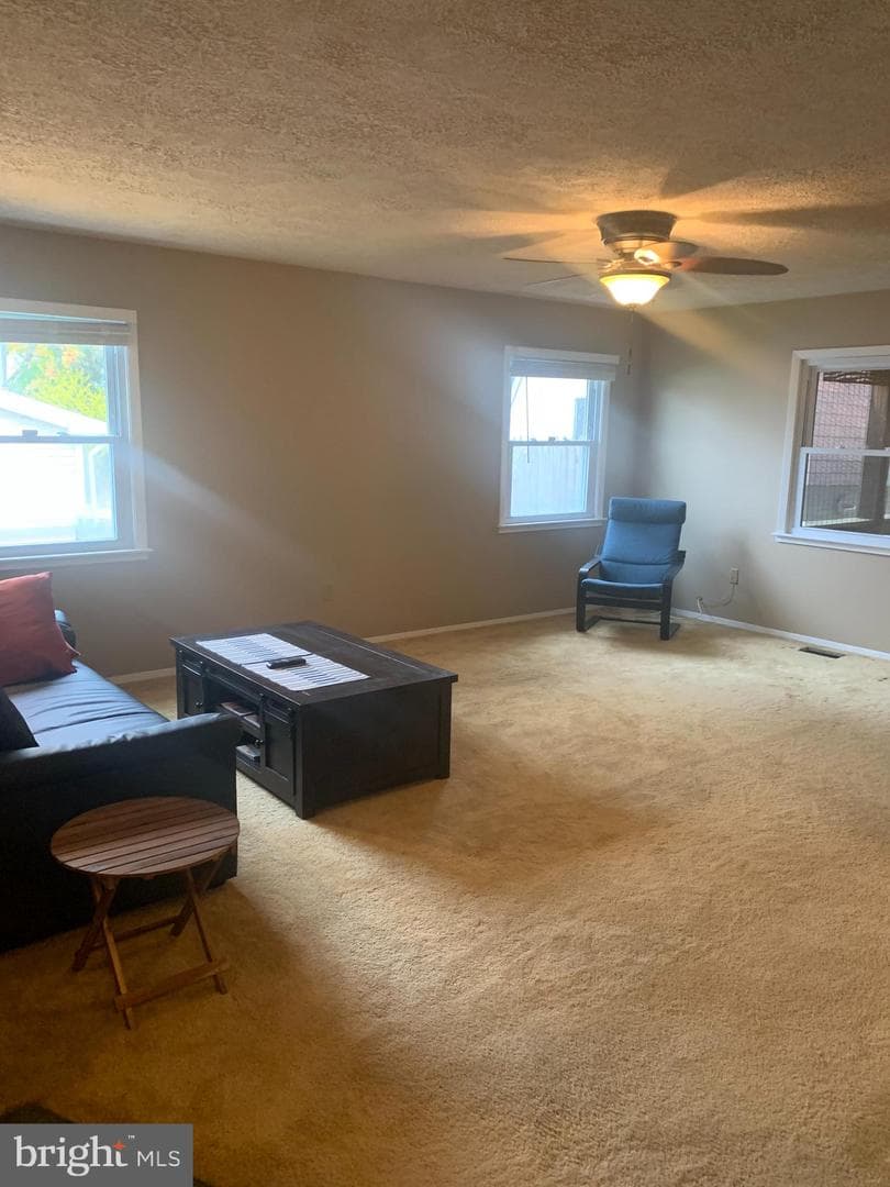 2711 Kirk Lane photo 39